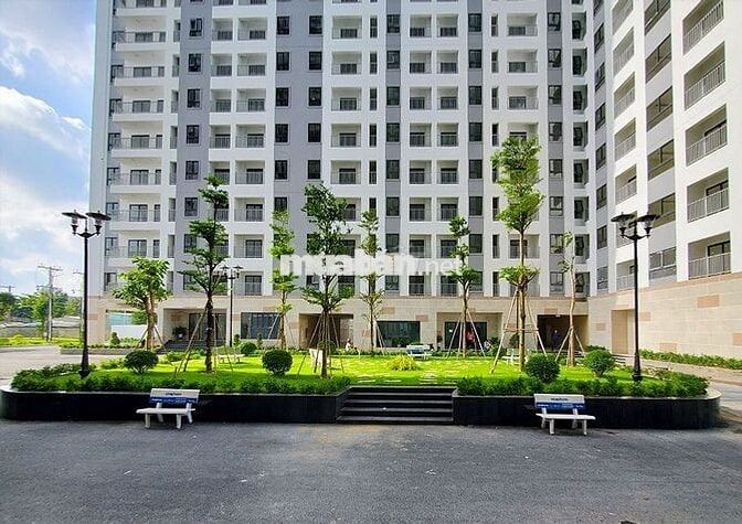 Cho thuê căn hộ 2PN2WC giá rẻ Thuận An - Iris Tower nhà mới giá tốt