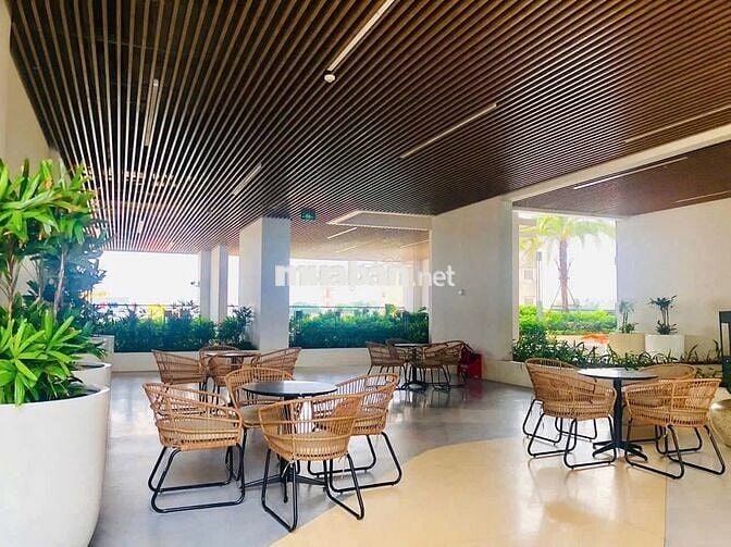 Cho thuê căn hộ studio giá 3tr5 tại chung cư opal skyline