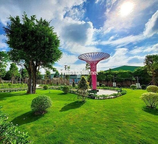 Cho thuê căn hộ 2PN2WC giá rẻ Thuận An - Iris Tower nhà mới giá tốt