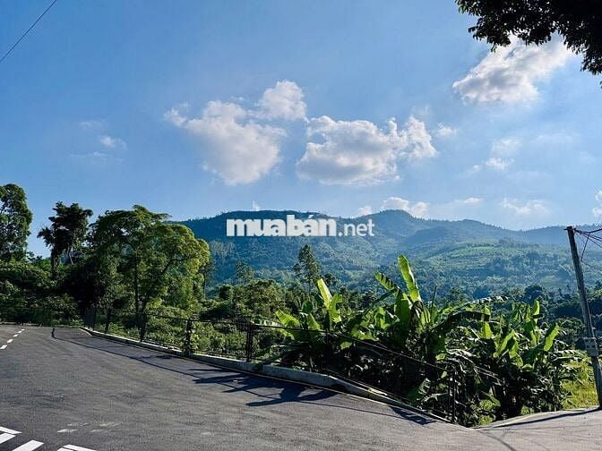 BẠN NGHĨ SAO VỀ GIÁ ĐẤT 2 TỶ - 100m2 - FULL THỔ CƯ TẠI HOÀ LẠC.