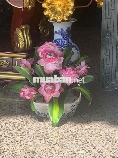 CHO THUÊ NHÀ MẶT TIỀN KINH DOANH TRẦN PHÚ – TRUNG TÂM TP BMT