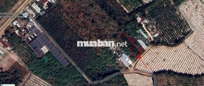 Đất vườn giá ngộp cần sang gấp 1200m2 SHR, công chứng ngay