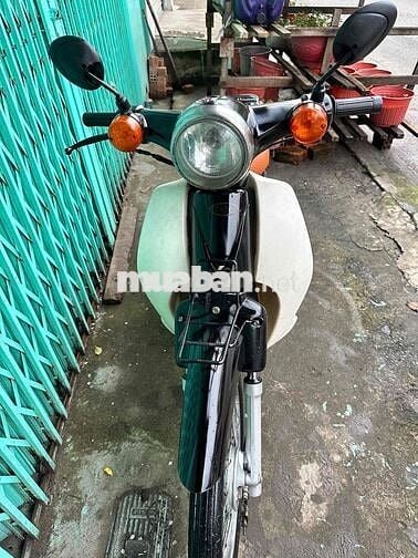 cub 50 cc bstp