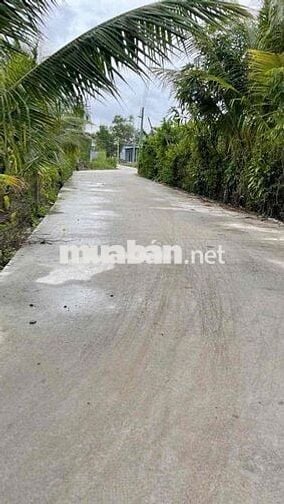 🔥 11 lô đất trung tâm Long Khê giá c