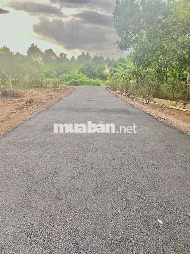 Đất nền mặt nhựa Bình Lộc 5,5x30