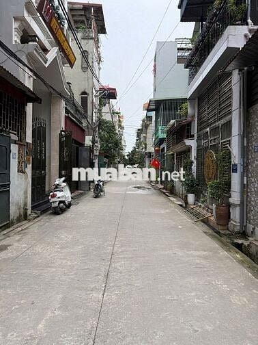 Bán gấp đất Tứ Hiệp phân lô ô tô tránh kinh doanh đỉnh giá 15 tỷ Bán gấp đất Tứ Hiệp phân lô ô tô tránh kinh doanh đỉnh giá 15 tỷ