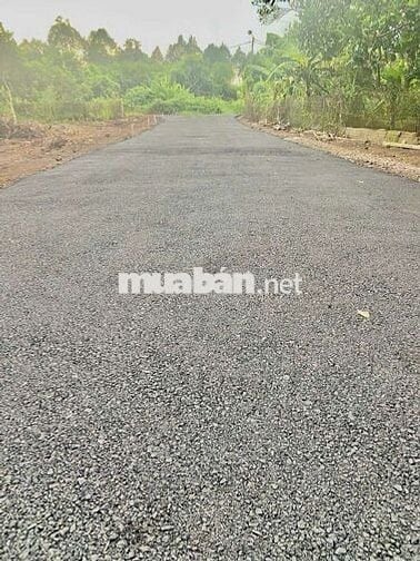 Đất nền mặt nhựa Bình Lộc 5,5x30