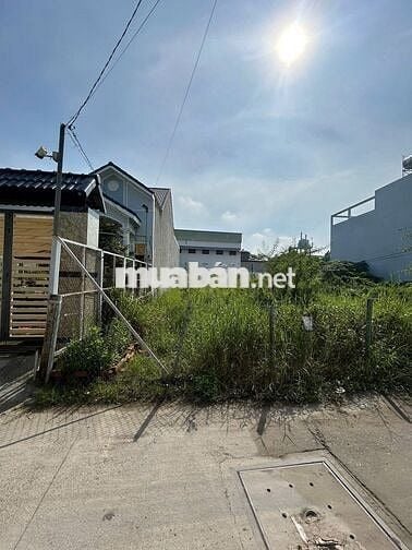 CHỦ BÁN GẤP LÔ ĐẤT MẶT TIỀN TẬP ĐOÀN 8, SAU TRƯỜNG THPT BÌNH CHÁNH
