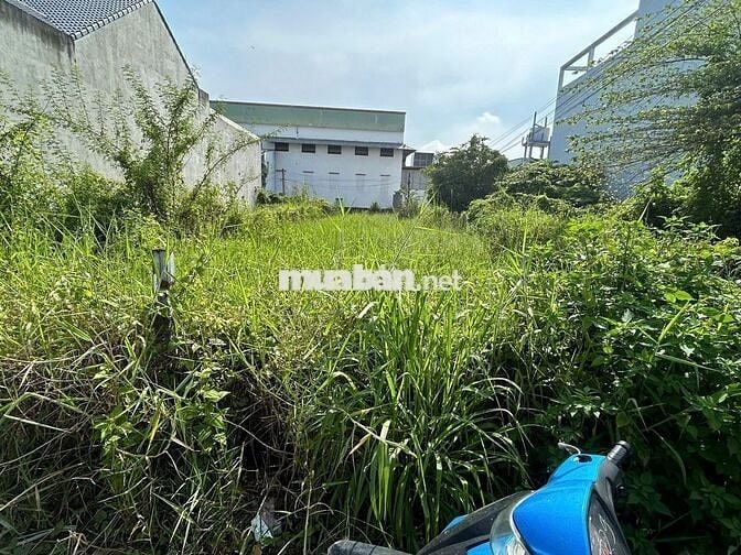 CHỦ BÁN GẤP LÔ ĐẤT MẶT TIỀN TẬP ĐOÀN 8, SAU TRƯỜNG THPT BÌNH CHÁNH