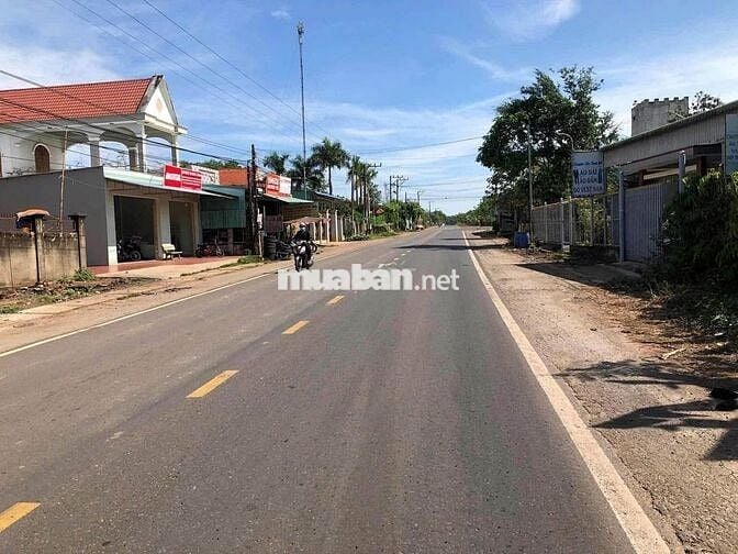 Sát tuyến đường 770b betong lớn ra QL1a chỉ vài trăm m