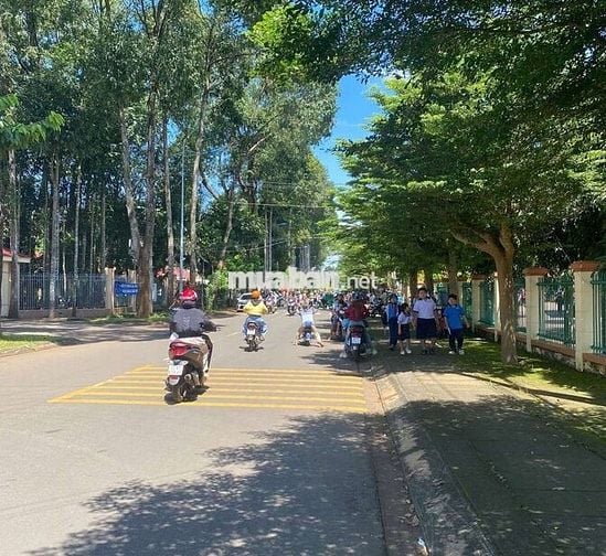 Đất nền mặt nhựa Bình Lộc 5,5x30