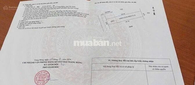 Cần bán gấp lô 180m2 đất Đ.Gia Tân, Gia Lộc, Trảng Bàng giá 600tr SHR