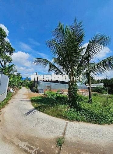 nền rộng trên 300m2 bán giá chưa tới 2,5 tỷ