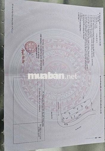 nền rộng trên 300m2 bán giá chưa tới 2,5 tỷ