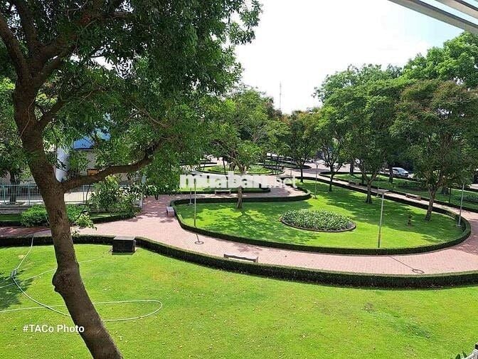 phòng trọ giá rẻ có cửa sổ đối diện công viên quận 12