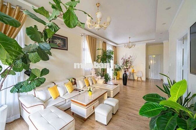 Bán Villa Trung tâm sẵn dòng tiền 100- 200tr/ tháng