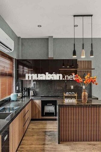 Cho thuê biệt thự gần cầu Thuận Phước Hải Châu 4pn giá 65tr