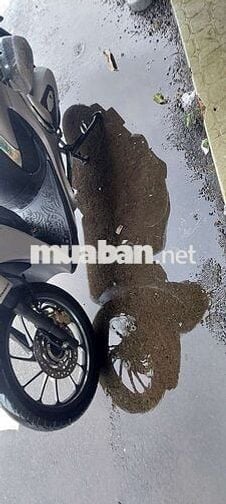 Shmode  ,ABS 2023 chinh chu ky giây biên 63