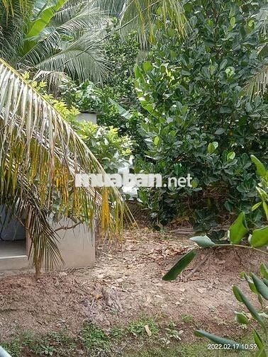 Bán đất vườn - Phù hợp làm nhà vườn, nghỉ dưỡng, gần Cầu Rạch Miễu 2