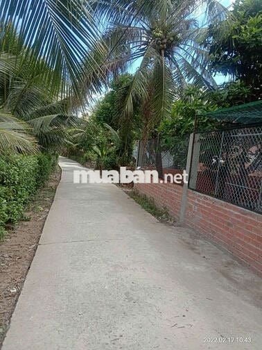 Bán đất vườn - Phù hợp làm nhà vườn, nghỉ dưỡng, gần Cầu Rạch Miễu 2