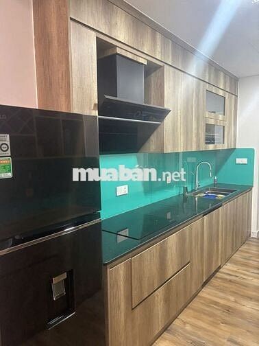 Cho thuê căn hộ cao cấp Diamond Alnata -Celadon. Full nội thất ,ở ngay