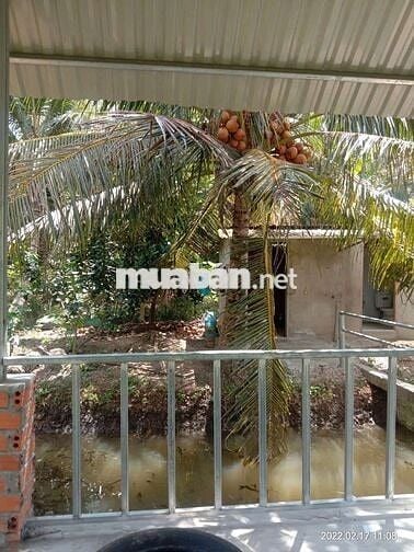 Bán đất vườn - Phù hợp làm nhà vườn, nghỉ dưỡng, gần Cầu Rạch Miễu 2