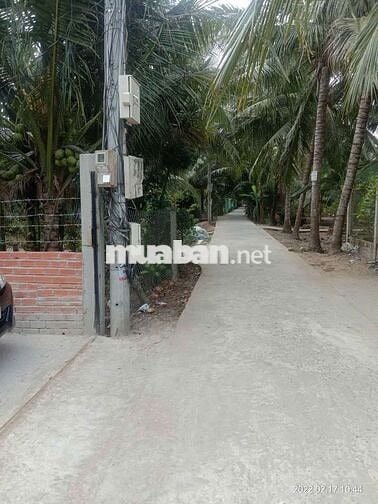 Bán đất vườn - Phù hợp làm nhà vườn, nghỉ dưỡng, gần Cầu Rạch Miễu 2