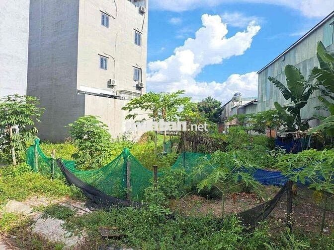 BÁN Nền Đất Ở Đô Thị ,Hồ văn Long , Bình Tân