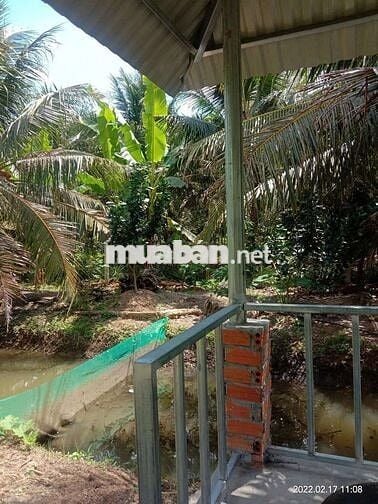 Bán đất vườn - Phù hợp làm nhà vườn, nghỉ dưỡng, gần Cầu Rạch Miễu 2