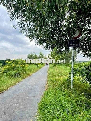 2400m2 toàn bộ thổ cư,kẹt tiền bán gấp