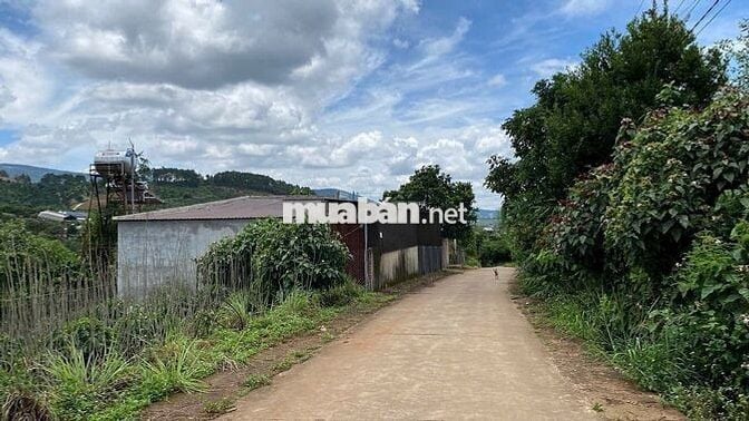 CHÍNH CHỦ BÁN FULL THỔ CƯ , CÓ 100 TC TT NAM BAN