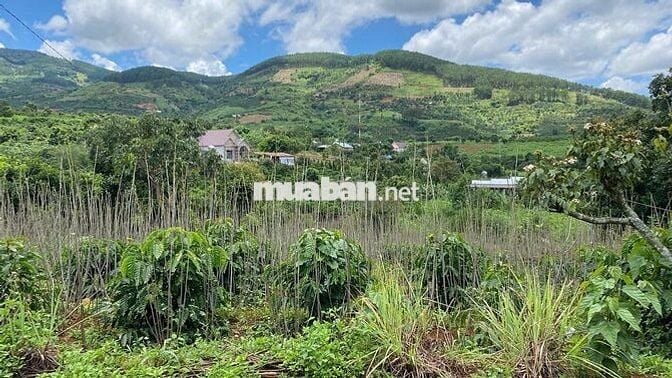 CHÍNH CHỦ BÁN FULL THỔ CƯ , CÓ 100 TC TT NAM BAN