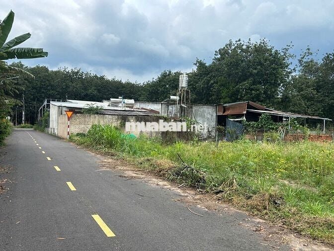 830TR SỞ HỮU NGAY LÔ ĐẤT TẠI TÂN PHÚ TRUNG – CỦ CHI