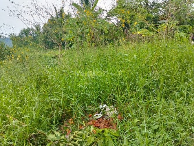 Bán đất nền thổ cư .... tổng diện tích 330,9 mét vuông 