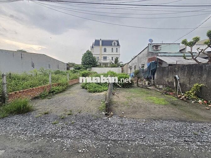 Chinh chủ ban đất Tân Thạnh Đông, Củ Chi, DT 10x39m,