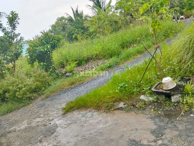 Bán đất nền thổ cư .... tổng diện tích 330,9 mét vuông 