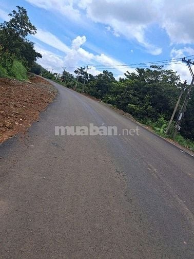 🏡 Bán đất Lộc Hưng – Lộc Ninh, Bình Phước | 196m² | Giá chỉ 580 triệu