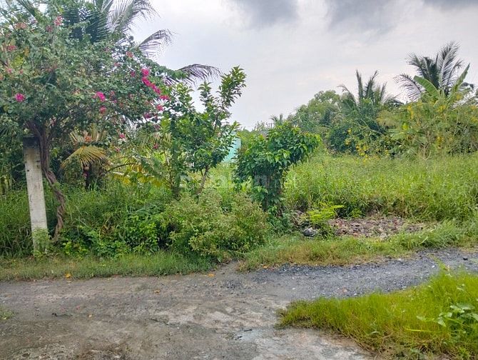 Bán đất nền thổ cư .... tổng diện tích 330,9 mét vuông 