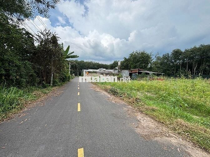 830TR SỞ HỮU NGAY LÔ ĐẤT TẠI TÂN PHÚ TRUNG – CỦ CHI