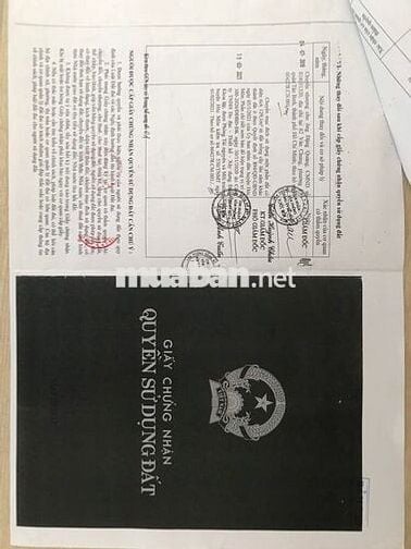 Bán đất 2 mặt tiền - 171m2 Xuân Thới Sơn 19  - 3.75 tỉ