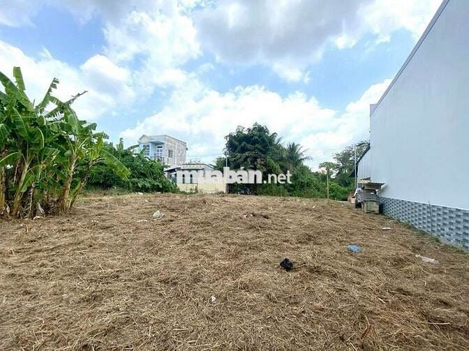 Ngay đường D835 của Mỹ Lộc - Cần Giuộc sổ hồng riêng, 650tr/100m2 thổ