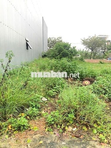 🏩 Bán đất biển mt Bàu Mạc 20, Liên Chiểu, 92.5m2, 4.x tỷ tl