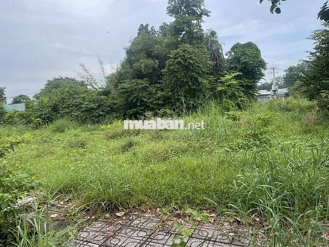 5x24 full thổ cư mặt tiền Nguyễn Văn Khạ - Củ Chi - SHR