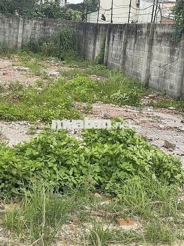 Đất ngộp 650tr ( 6x24m) ngay Tân Thông Hội , GẶP TRỰC TIẾP CHỦ CÓ TL