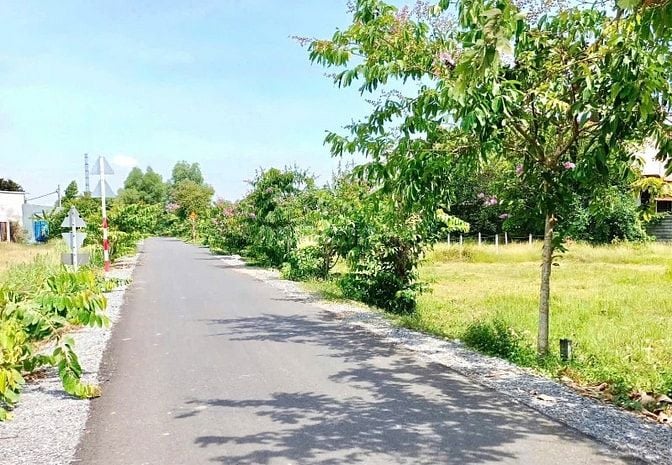 Đất mặt tiền nhựa trung tâm Phước Hiệp – 203m² full thổ – SHR  