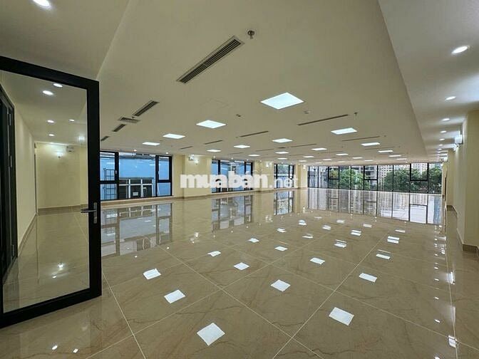 Toà nhà cực đẹp, full kính, thông sàn, đủ PCCC, giá đẹp