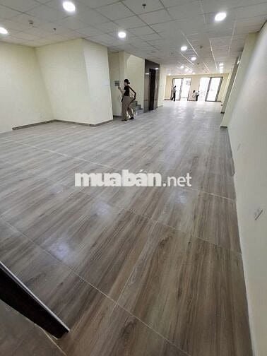 BuilDing MT Khu K300 - 7,5x20m - Hầm 6 Tầng ( thang máy - PCCC )