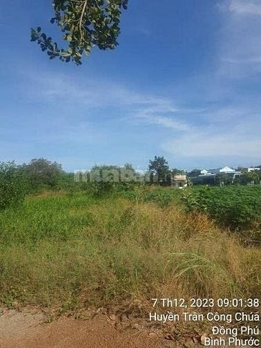 Công ty Đấu giá hợp danh Lam Sơn Sài Gòn THÔNG BÁO ĐẤU GIÁ TÀI SẢN