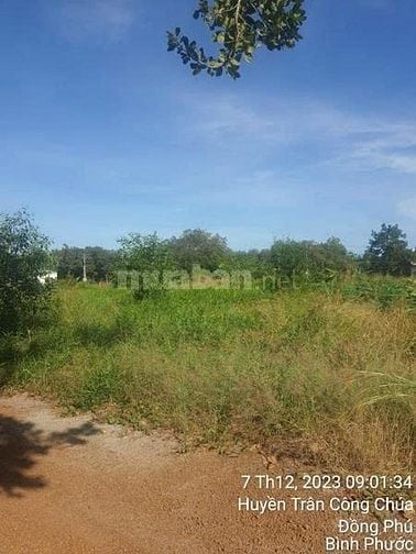 Công ty Đấu giá hợp danh Lam Sơn Sài Gòn THÔNG BÁO ĐẤU GIÁ TÀI SẢN