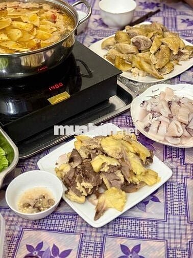 CHDV DÒNG TIỀN   -23 KHÉP KÍN FULL ĐỒ - LÔ GÓC 2 MẶT TIỀN - Ô TÔ 7 CHỖ CHDV DÒNG TIỀN   -23 KHÉP KÍN FULL ĐỒ - LÔ GÓC 2 MẶT TIỀN - Ô TÔ 7 CHỖ